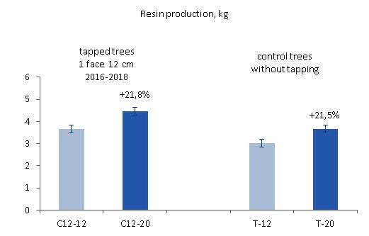 Resin production by wound size in previously tapped versus control trees