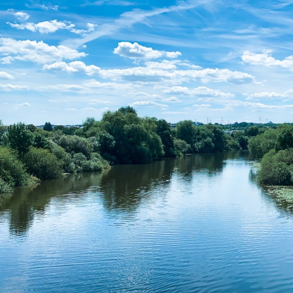 Meuse Feeder Rivers River Meuse restoration Initiative shows the multiple benefits of ...