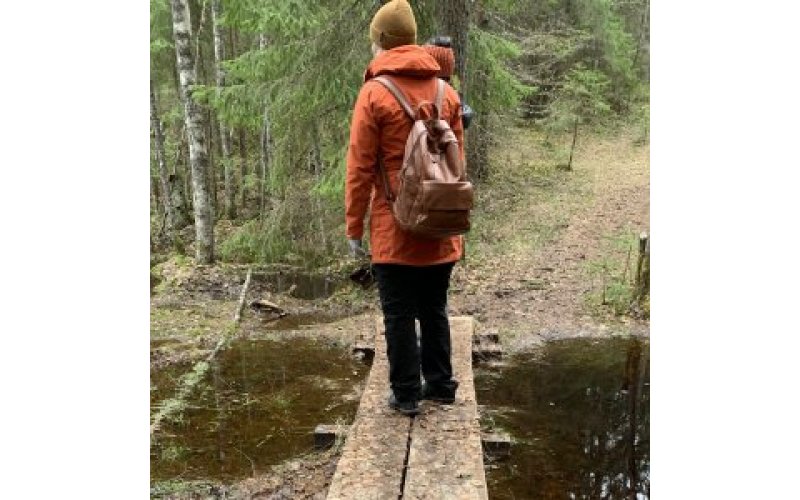 Person stood on a plank bridge in woodland