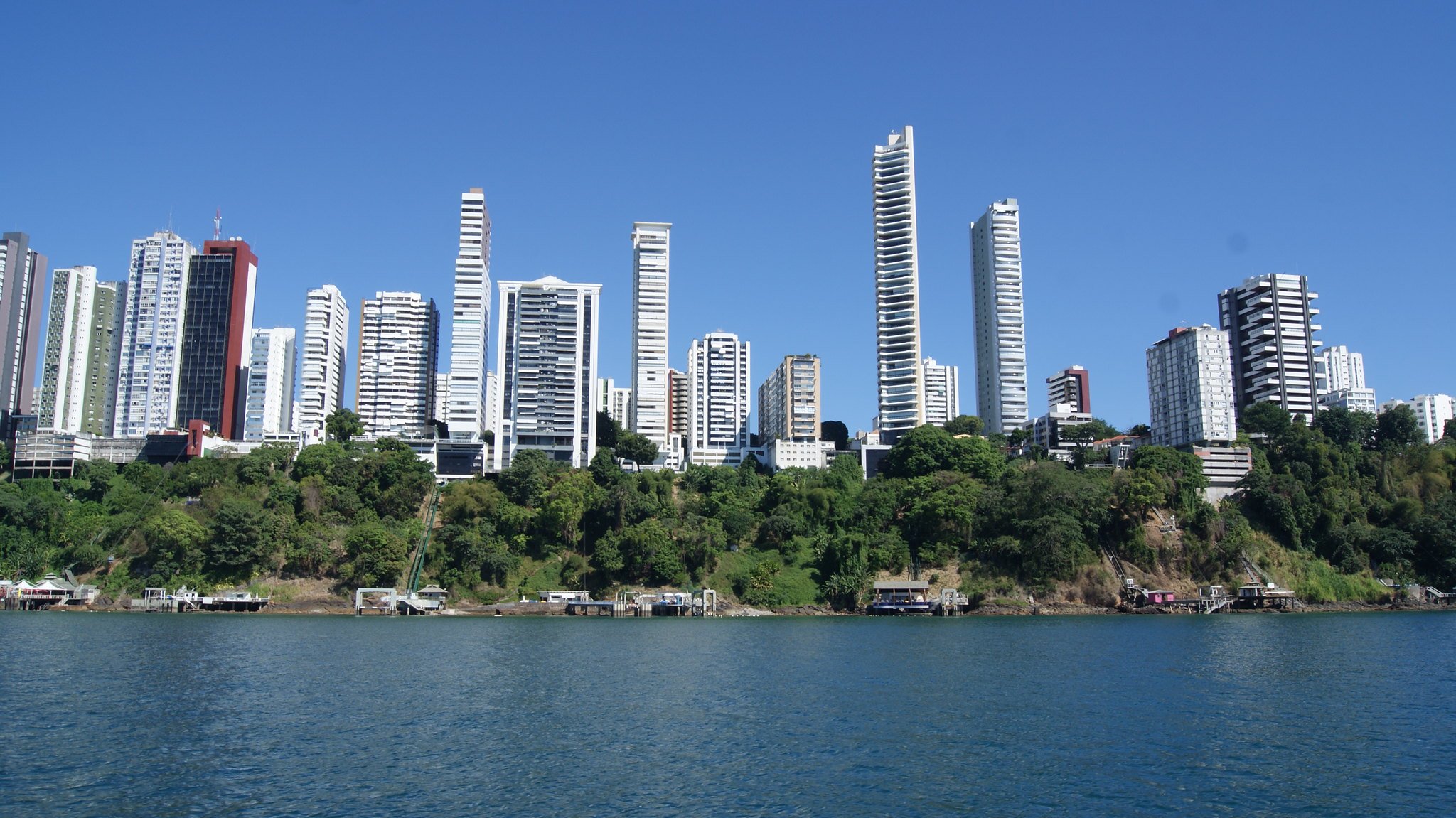 A Tale of Two Cities in Brazil (and the Forest that Connects Them)