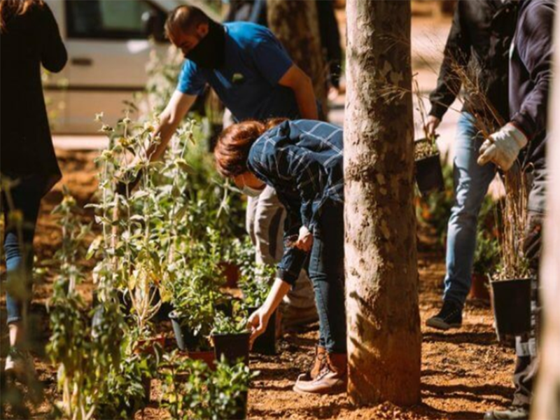 Citizens taking part in the Adopting-A-Tree initiative in Athens
