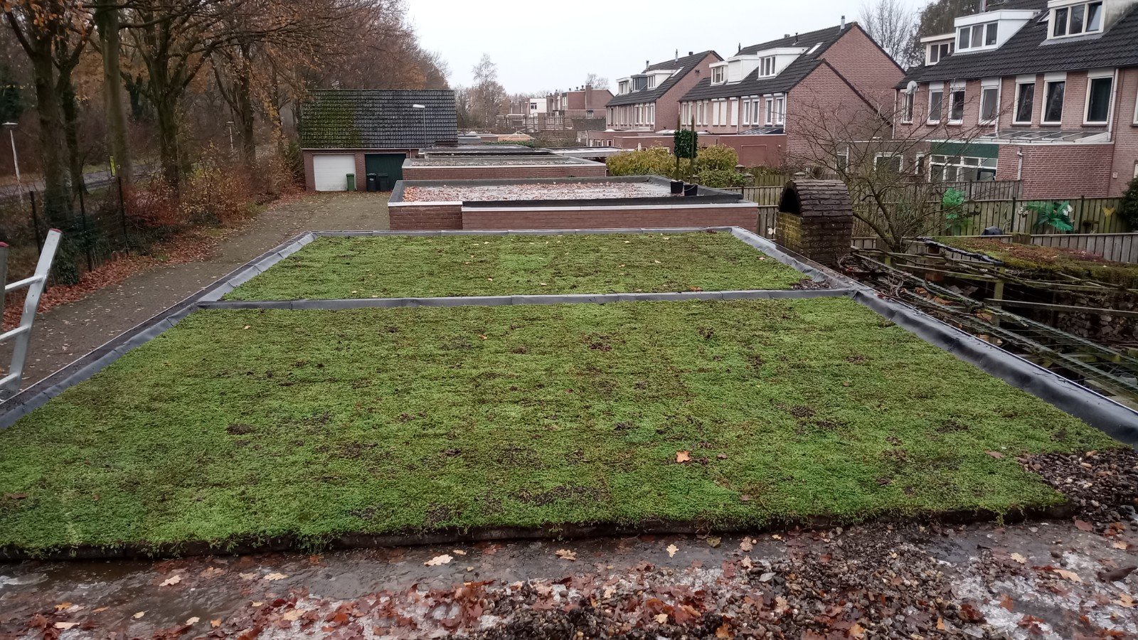 Green roof 