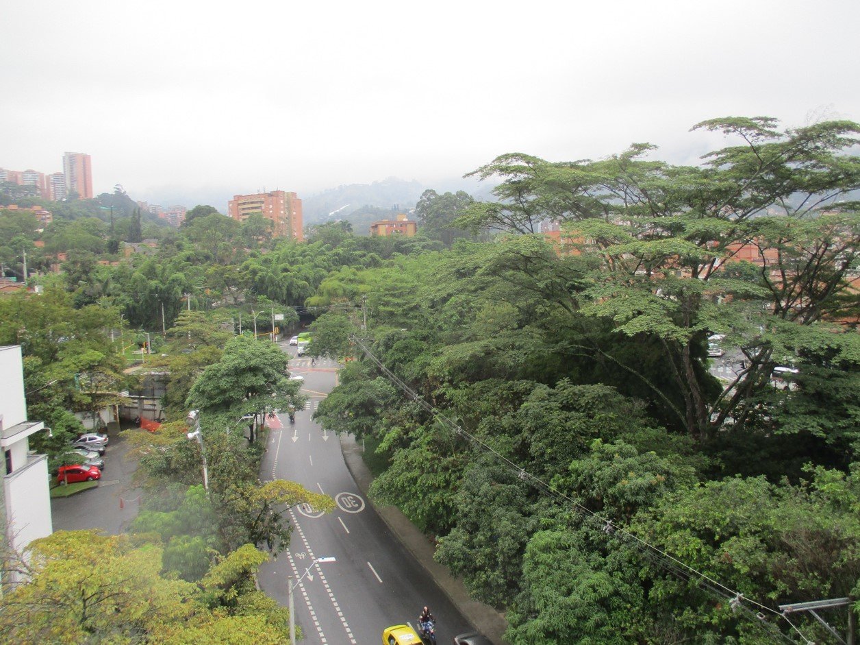 Corredor verde urbano. Quebrada la Ayurá. 