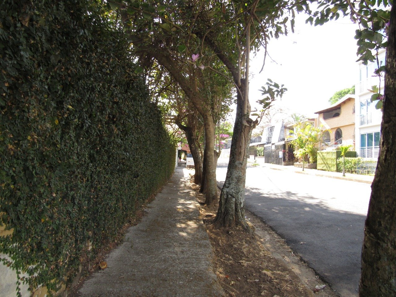 Calderón E, 2021