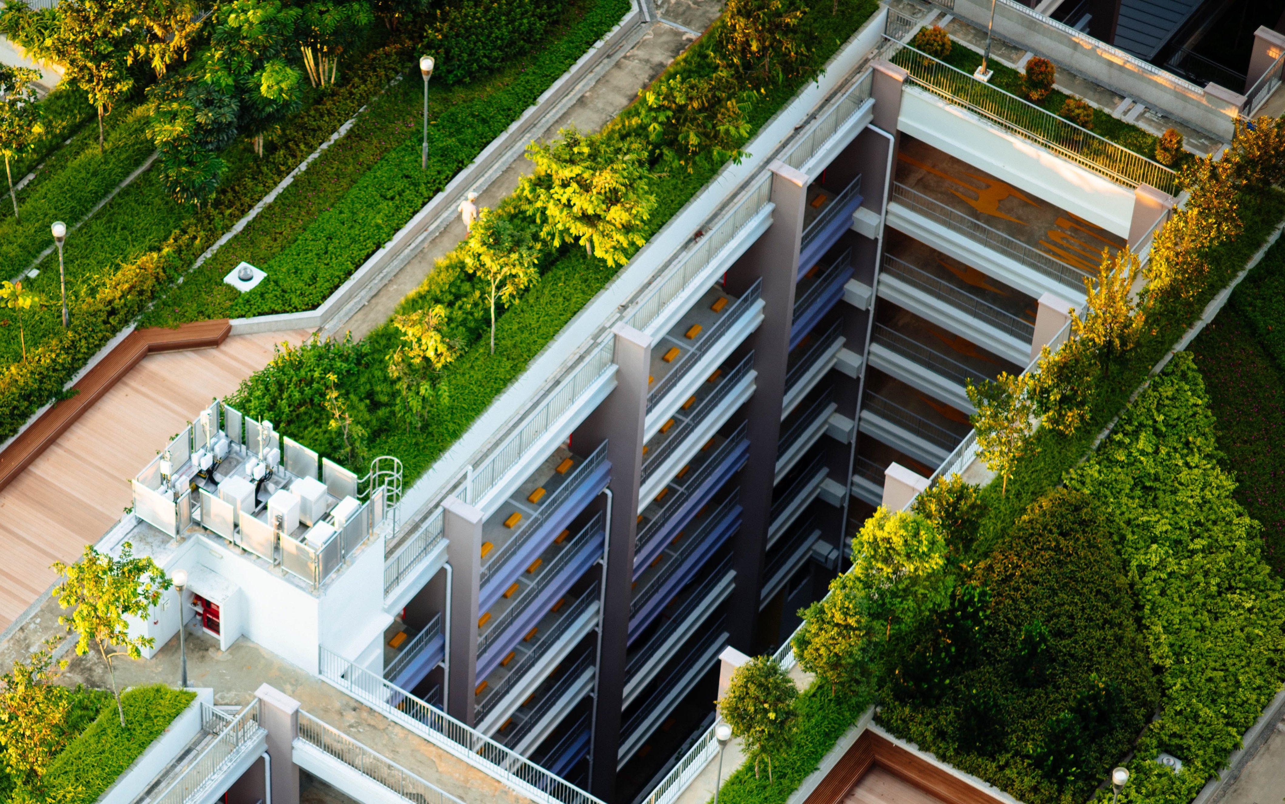 Aereal view of green roofs