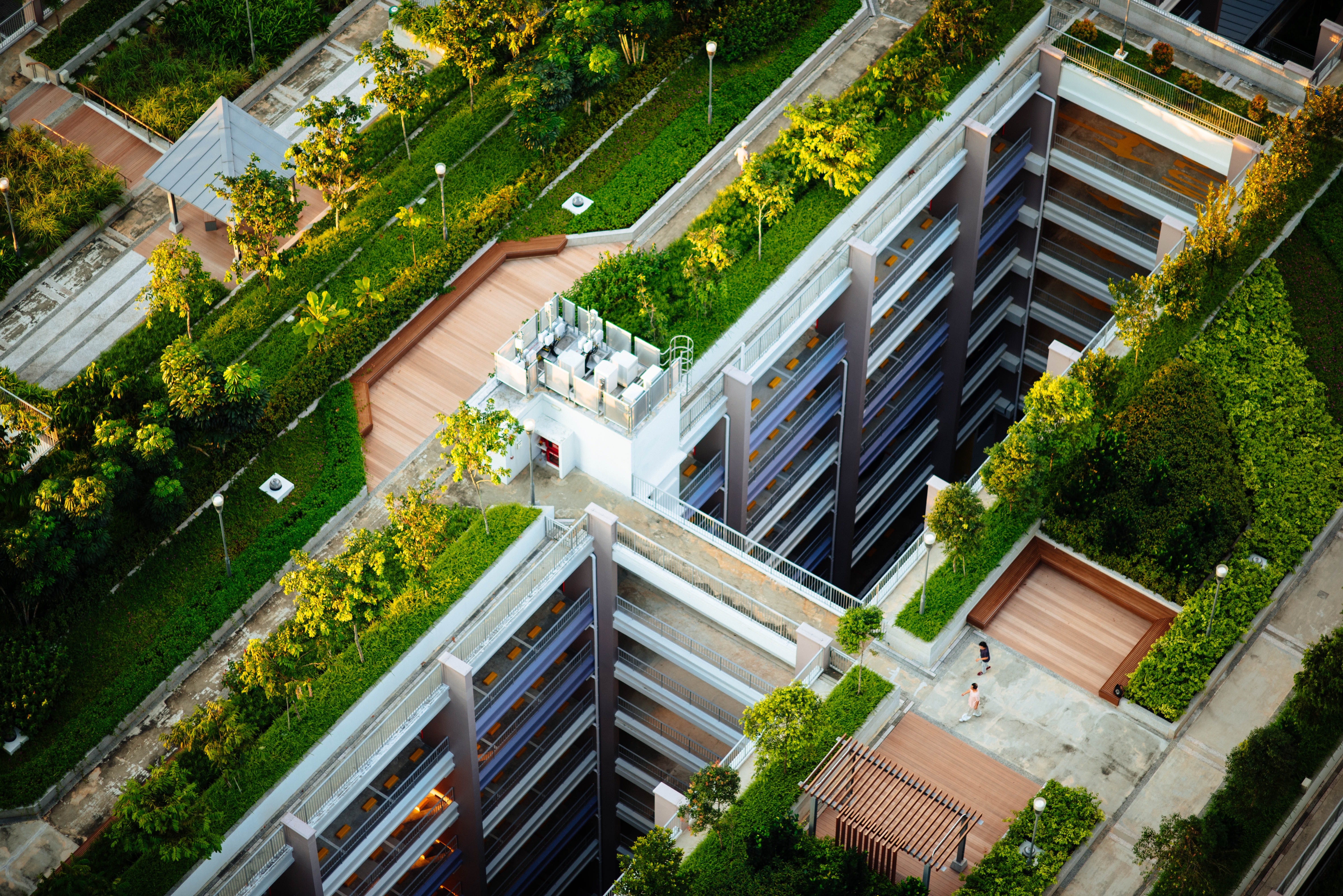 Green Roofs