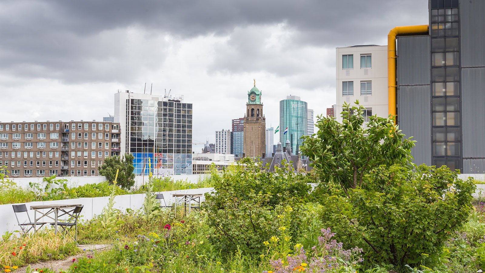 @openresearch.amsterdam