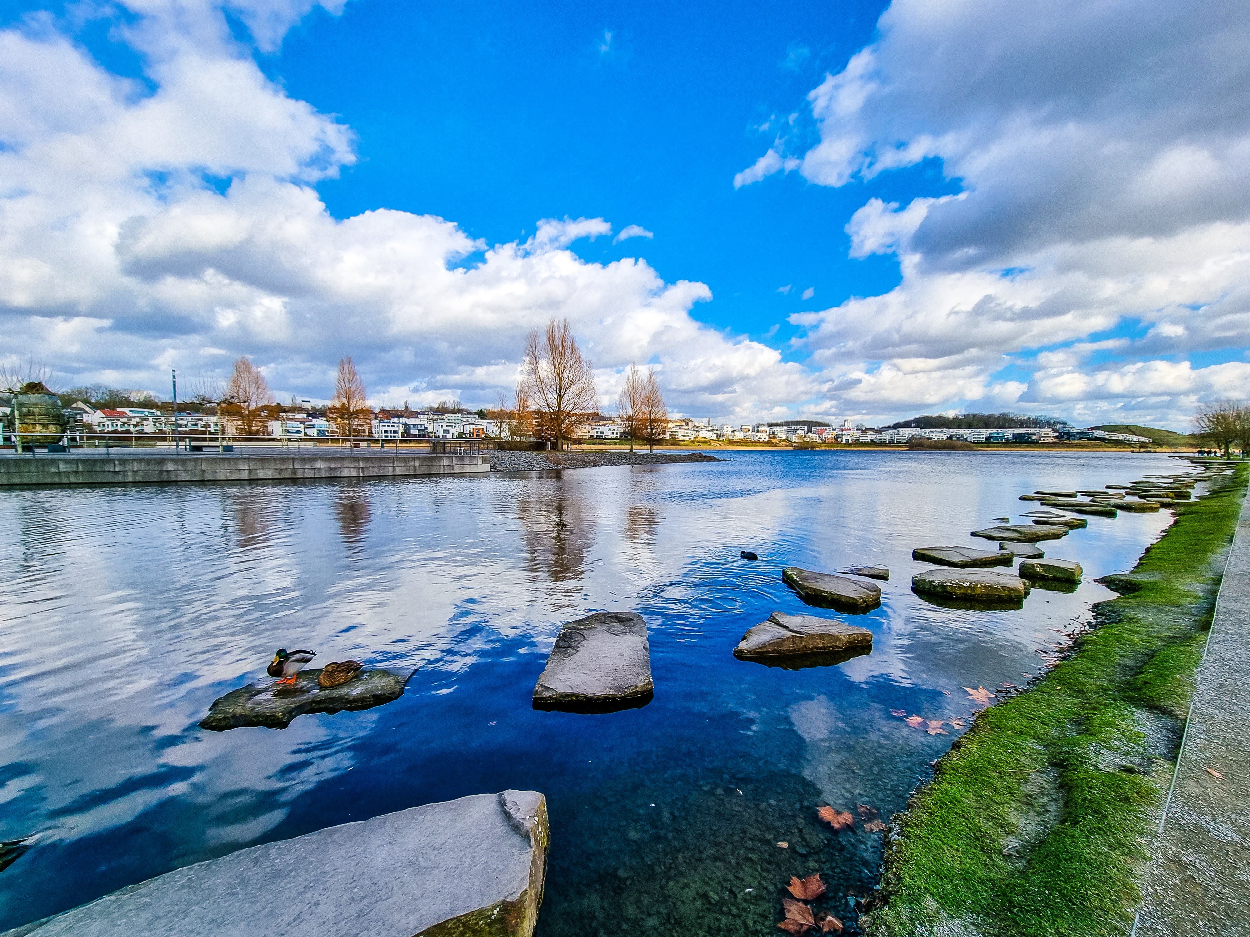 Lake Phoenix in Dortmund