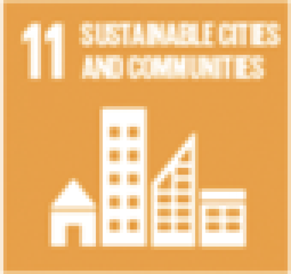 SDG 11