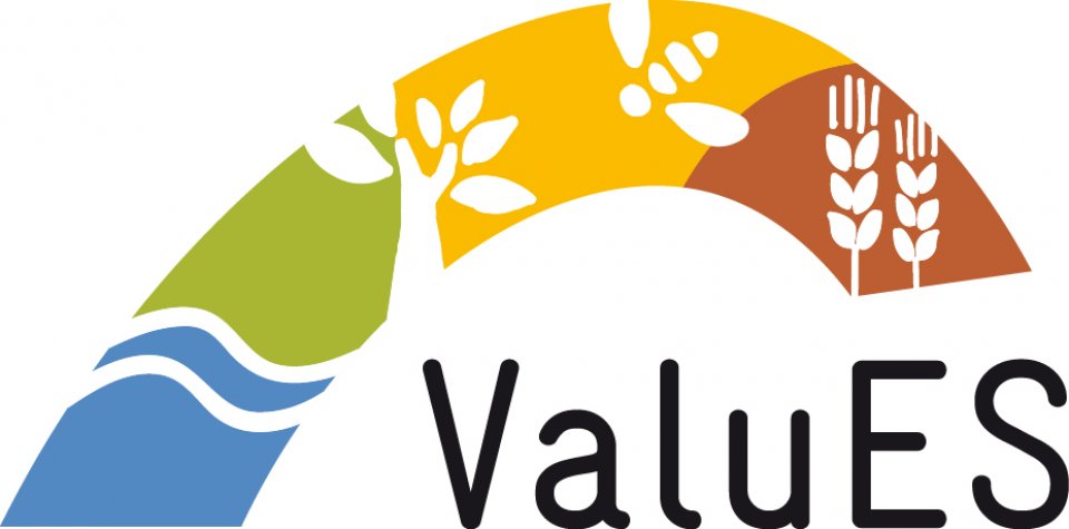 ValuES