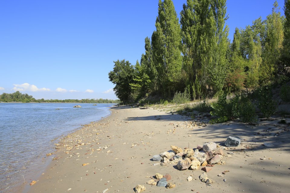 shallow new banks reconnecting the Knoblochsaue floodplain to the Rhine