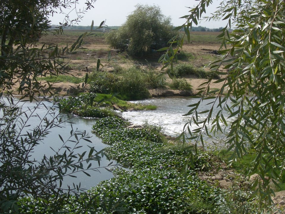 Sorraia floodplain to be restored (photo: Cláudia Brandao)