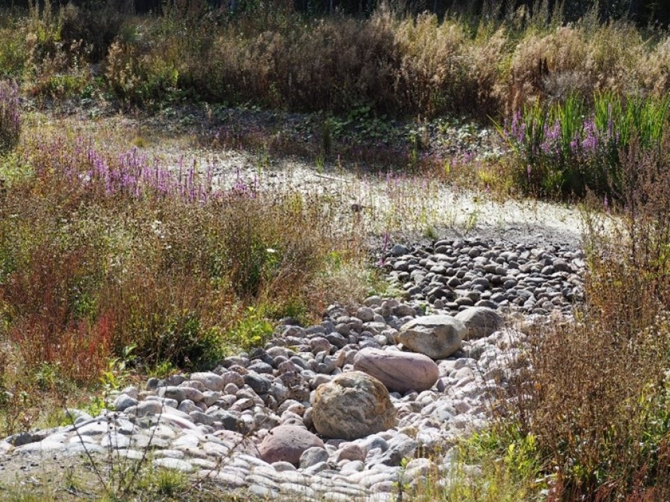 UNaLab Alluvial meadows