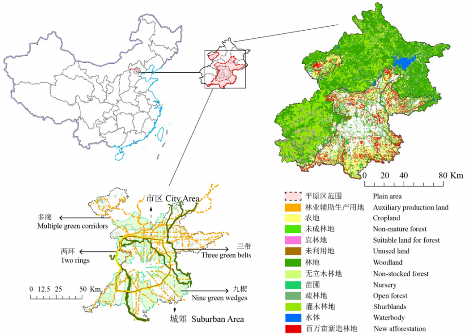 BEIJING PLAIN AREA AFFORESTATION PROGRAMME (BPAP) - BEIJING, CHINA  