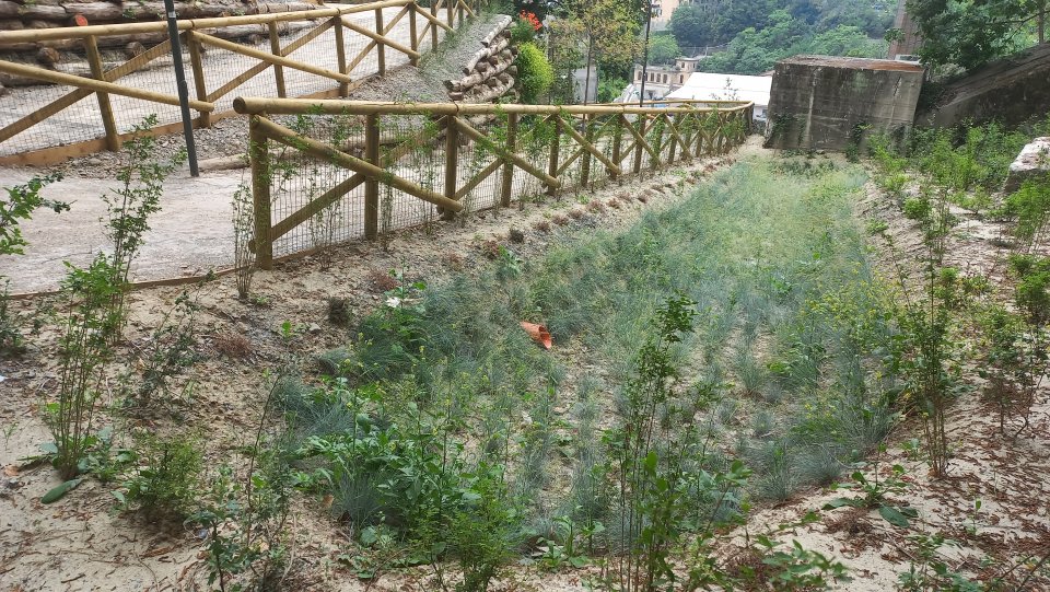 UNaLab Bioswale UNaLab Bioswale