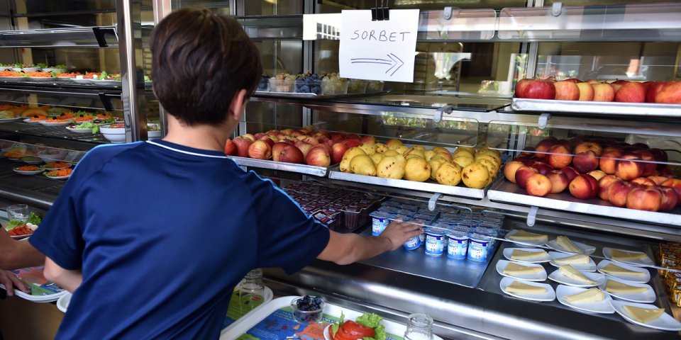 Canteens of Mouans-Sartoux supplied by a sustainable urban farm