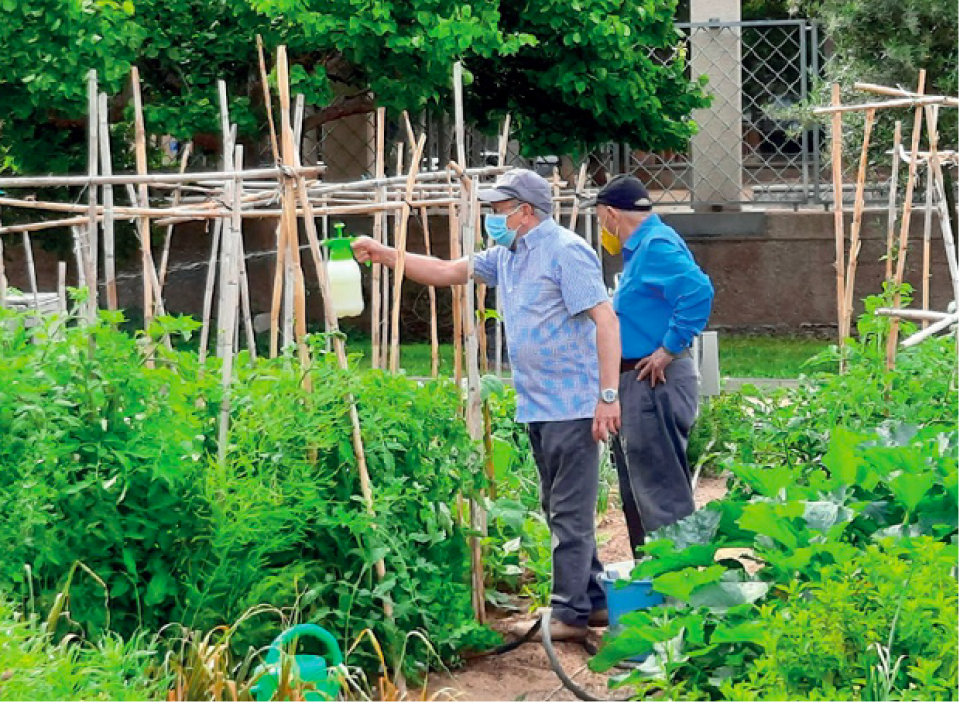 Urban allotment in Barcelona. Credits: Arnau Lluch, 2022.