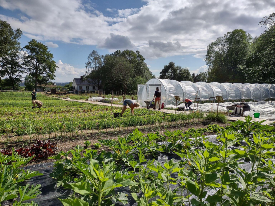 Community-supported Agriculture Group