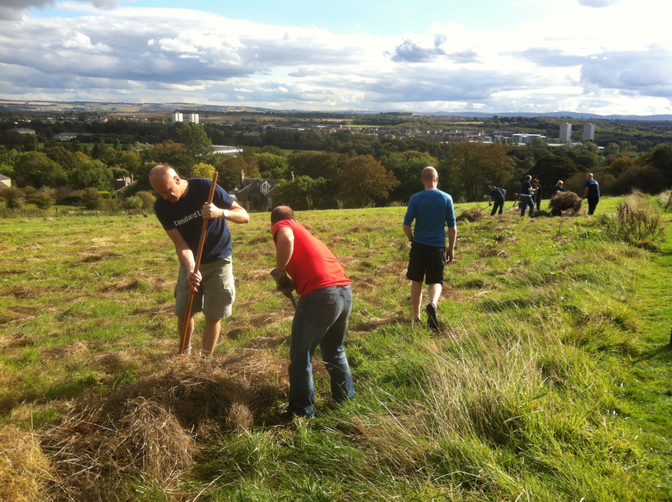 field-meadow-volunteers.png