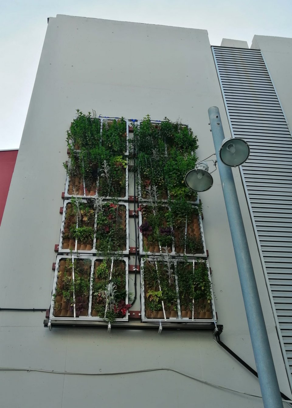 Green wall Green wall