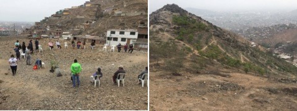 NBS Co-creation process for the Green Belt Independencia, (right) first stage forestation. Photo captures: Taícia Marques.