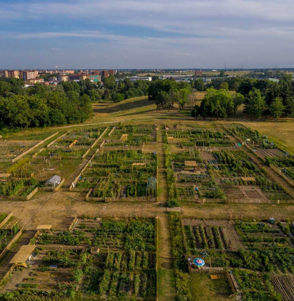 Gardens in Cascina Piemonte (Orti Generali)