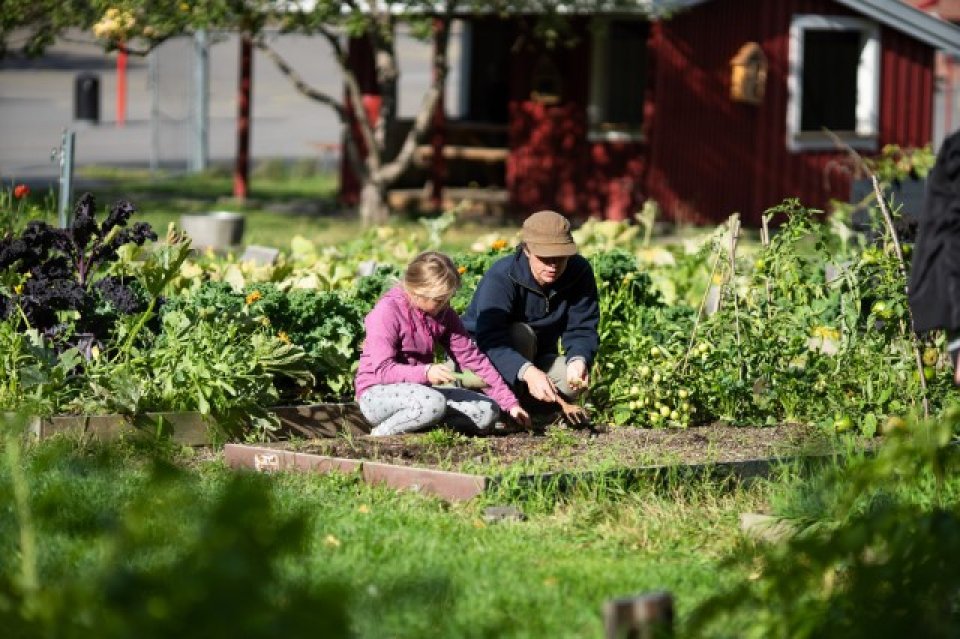 Linderud Community Garden Linderud Community Garden