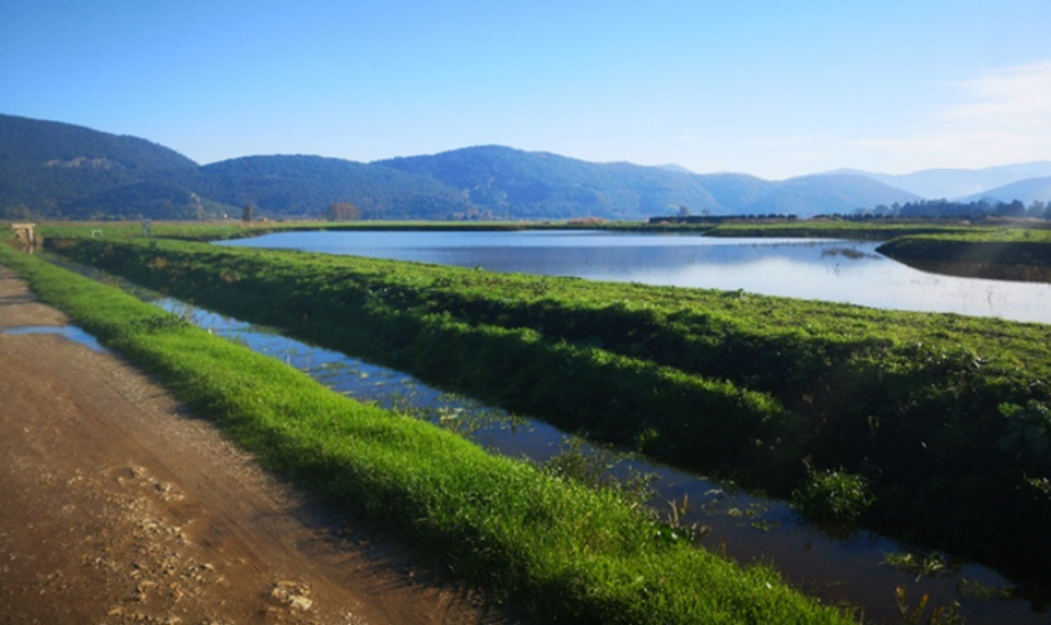 The sedimentation basin after completion (Photo: ADBS)