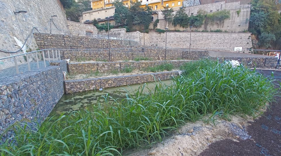 UNaLab Rain garden