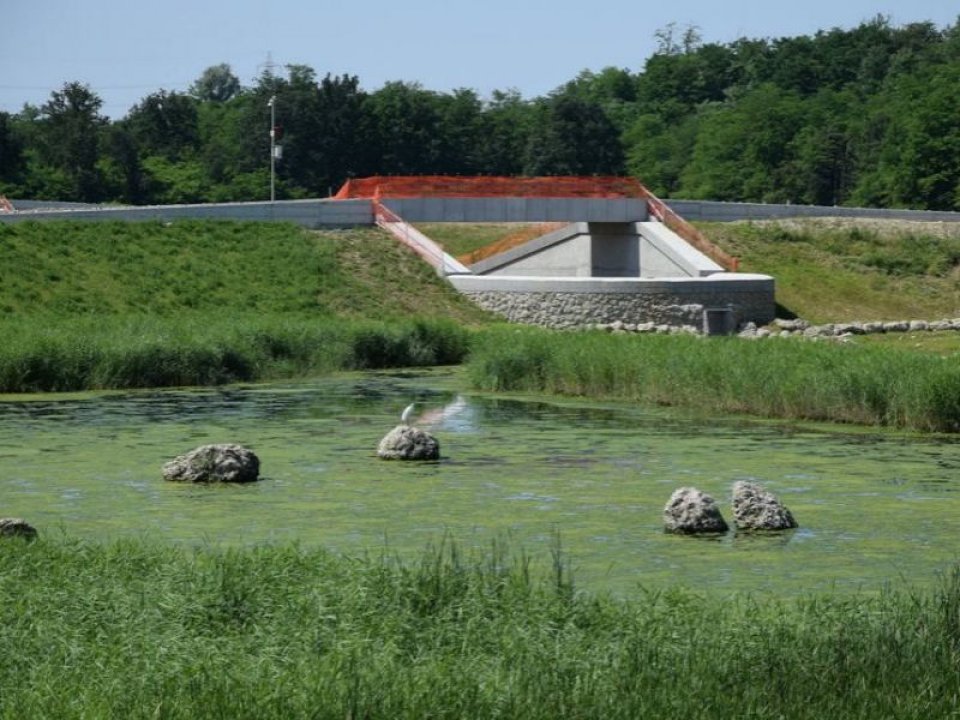 Retention basin of Lura park (1)