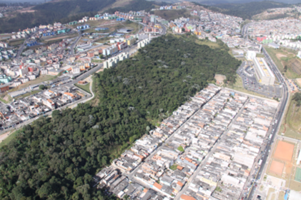 CONEXUS – Restoring, protecting, and maintaining thriving urban forests:  three pilots in the city of São Paulo