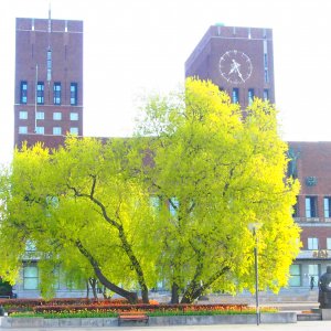 Oslo Town Hall  