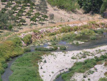 Riparian forest Restoration in Greece