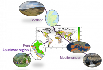 The Implementation of Connectivity Area in the Metropolitan Region of  Campinas (São Paulo, Brazil): Biodiversity Integration Through Regional  Environmental Planning