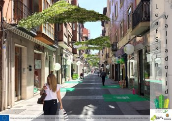 Green roof LEAFSKIN. Source: https://www.singulargreen.com/el-proyecto-urban-greenup-cumple-un-ano/
