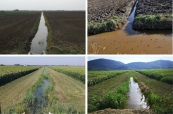 The Fosetto (left) and Fossacio (right) canals before (upper) and after (lower) modification. (Photos: ADBS)