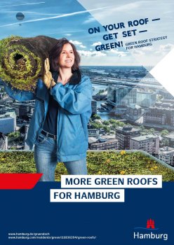 Green roof Strategy Hamburg - On your roofs, get set, green! (Photo and montage: © mount. Design und Kommunikation für soziales Wachstum; background photo: Michaela Stalte)