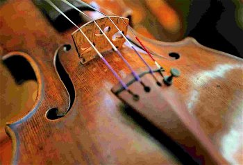 Violin, in reference to the famous violin maker Antonio Stradivario