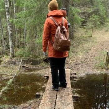 Person stood on a plank bridge in woodland