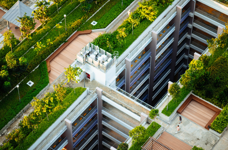 Aereal view of green roofs