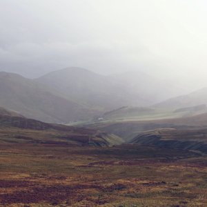 Peatland - Sean Paul kinnear, Unsplash