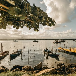 Jonathan Borba, Unsplash Jonathan Borba, Unsplash