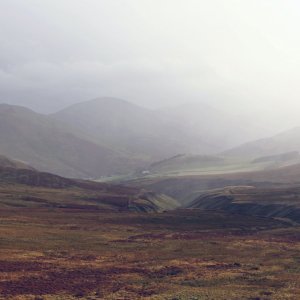 Peatland - Sean Paul kinnear, Unsplash Peatland - Sean Paul kinnear, Unsplash