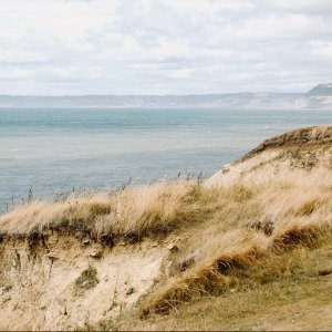 Riches of the dunes: Measuring and protecting coastal dune biodiversity through Nature-based Solutions Riches of the dunes: Measuring and protecting coastal dune biodiversity through Nature-based Solutions