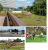 The first green corridor implemented in Lisbon (2012) connected the Parque Eduardo VII (central green park) with Monsanto Forest Park along 2,5km. Derelict land previously used for random car parking was refurbished, allowing for the implementation of a range of NBS such as Biodiverse Meadows, Urban Allotment Gardens and Massive Tree Planting, among others.