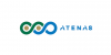 ATeNaS project logo
