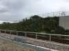 Wildflower green wall - credit to Network Rail